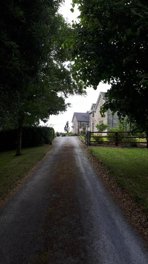 Lorum Old Rectory Bagenalstown Buitenkant foto