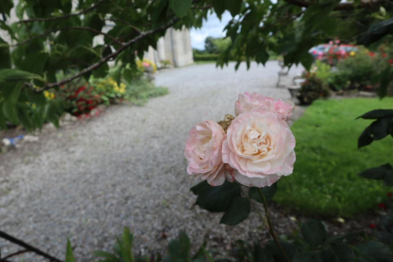 Lorum Old Rectory Bagenalstown Buitenkant foto